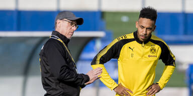 Hammer: Stöger wirft "Auba" aus Kader