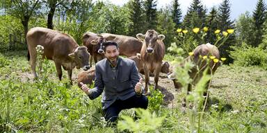 Kuhler Opernstar & Intendant: Auch K&uuml;he stehen hier quasi vor der T&uuml;r.&nbsp;&nbsp;