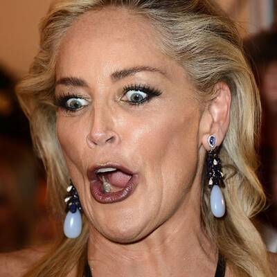 Sharon Stone in Turtel-Stimmung bei der amfAR-Gala in Mailand