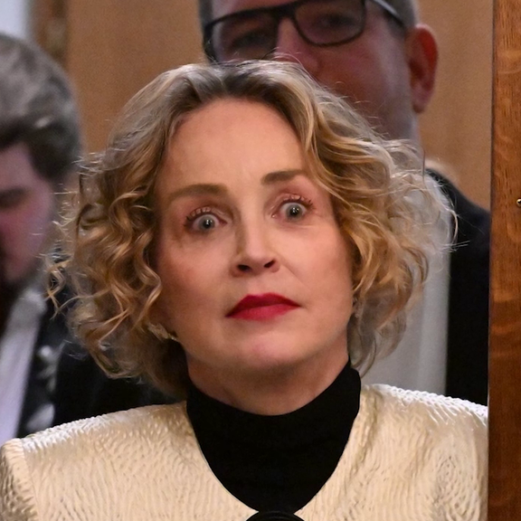 Stone spricht über Opernball-Zusammenbruch: Stalker und Mordängste sind schuld