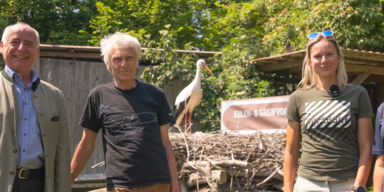 Rekord-Eisschnelll&auml;uferin Vanessa Herzog ist Patin von vier Storchenk&uuml;ken