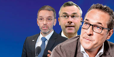 Warum die FPÖ gegen Strache keine Chance hat