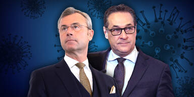 strache hofer