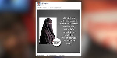 strache post.jpg