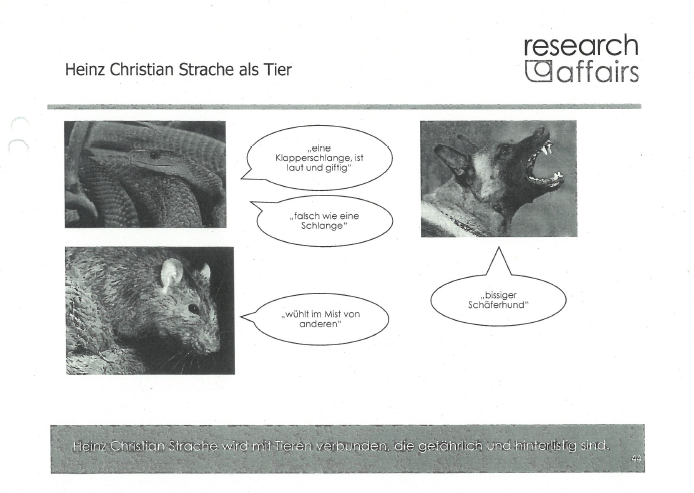 155.000-Euro-Studie: Kurz ist Pfau