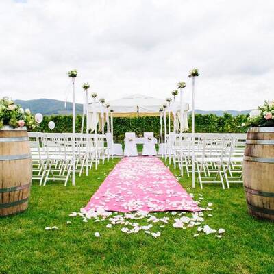 Strache zeigt seine Hochzeitsfotos