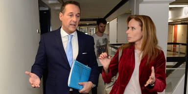 Strache will sich neu erfinden