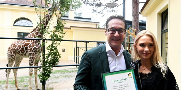 Strache ist jetzt Giraffen-Pate