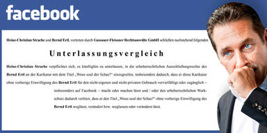 Strache auf Facebook abgestraft