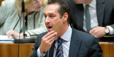 Pleite für Stronach & Strache