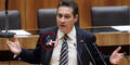 strache_kornblume