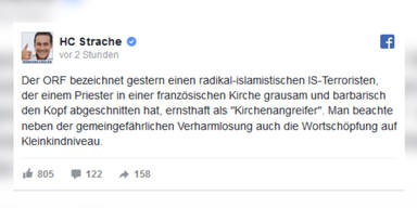 strache_orf_thump.jpg