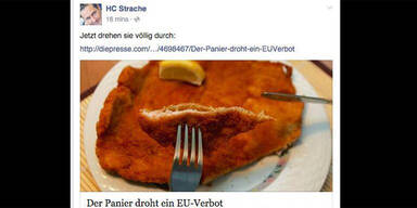 Strache fällt auf Aprilscherz rein