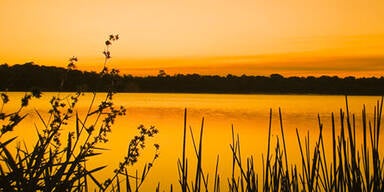 Romantische Orte für den Heiratsantrag