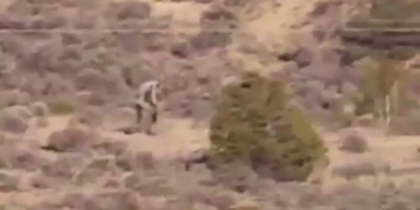 strange_creature_thump.png