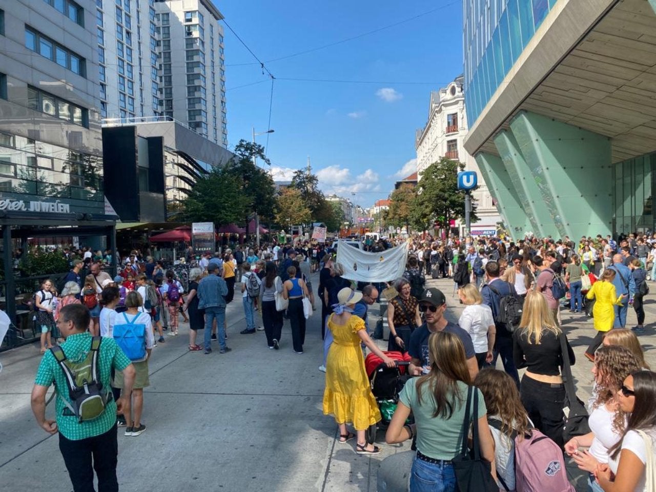 Klima-Streik in Wien