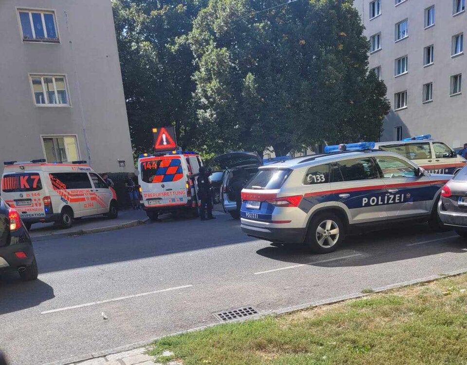 Blutiger Familienstreit in Wien – drei Verletzte