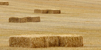 strohballen_