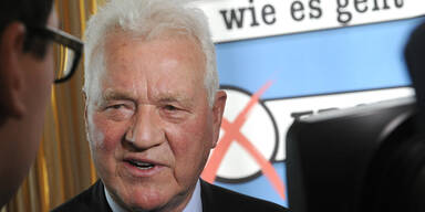 Stronach steigt in den Ring