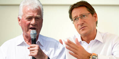 Riesenwirbel um Stronach-Auftritt