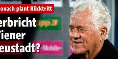 Zerbricht Wiener Neustadt?