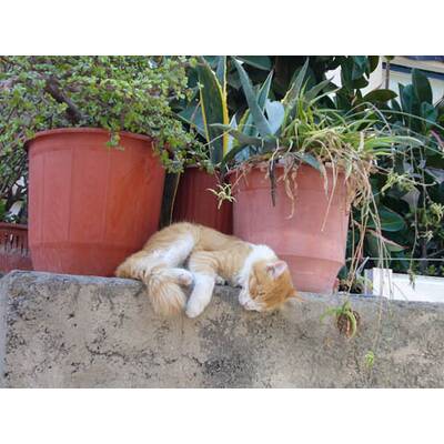 Die neuesten Urlaubsfotos