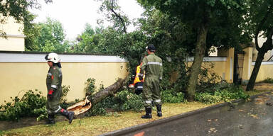 Unwetter w&uuml;tete im S&uuml;dburgenland