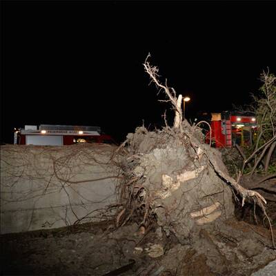 Sturmschäden in Hall in Tirol
