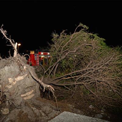 Sturmschäden in Hall in Tirol