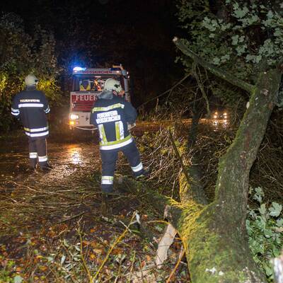 Im Bild: Die Florianijünger beim Aufräumen