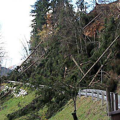 Sturmschäden in Hall in Tirol