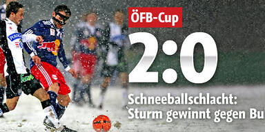 Sturm im Schnee besser als Bullen