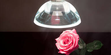 So setzen Sie Pendelleuchten richtig ein