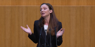 suanne f&uuml;rst.png