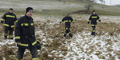 43 Kühe laufen Amok
