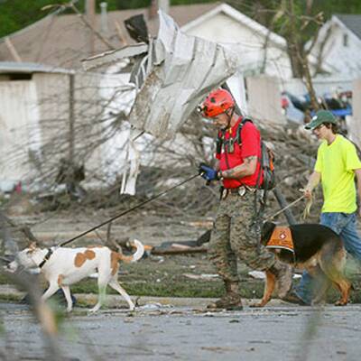 Spur der Verwüstung