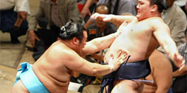 sumo