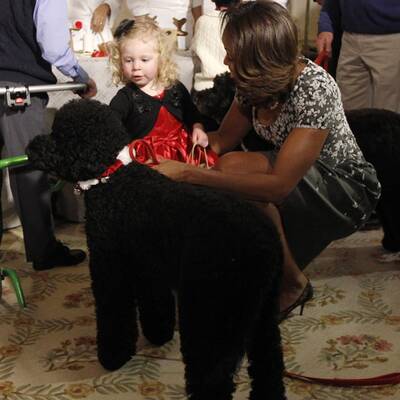 Obama-Hund wirft kleines Mädchen um