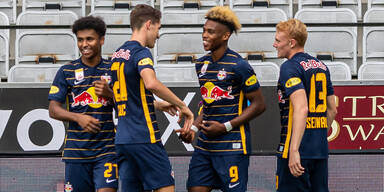 &Ouml;STERREICH erkl&auml;rt die neuen Super-Bullen