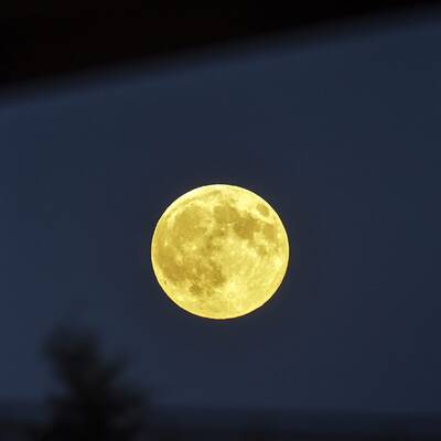 Hunderte machten beim World Naked Bike Ride in Melbourne mit