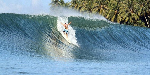 Hai reißt Surfer Arm und Hand ab