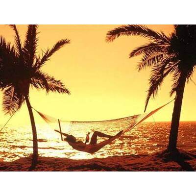 Die romantischsten Fotos