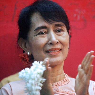 Felisa Wolfe-Simon, Wissenschaftlerin