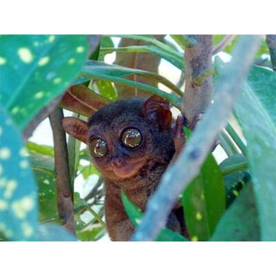 Alle lustigen Urlaubsfotos