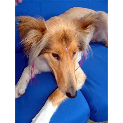 Alle lustigen Urlaubsfotos