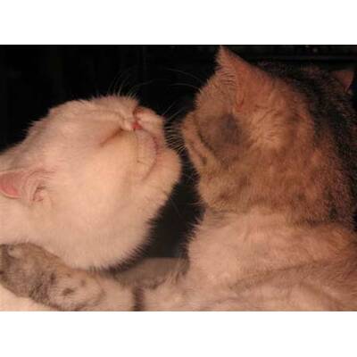 Alle lustigen Urlaubsfotos