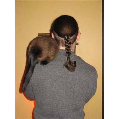 Alle lustigen Urlaubsfotos