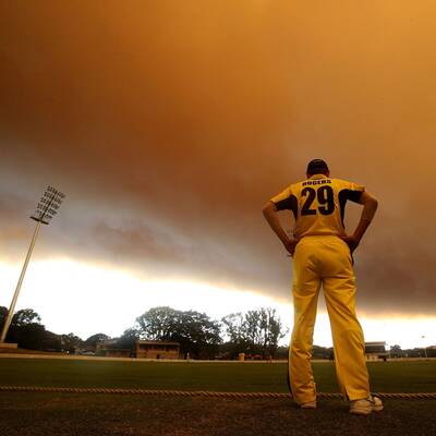 Waldbrände wüten bei Sydney