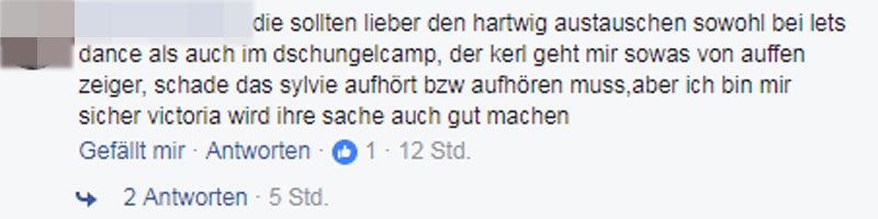 Sylvie Meis Kommentare