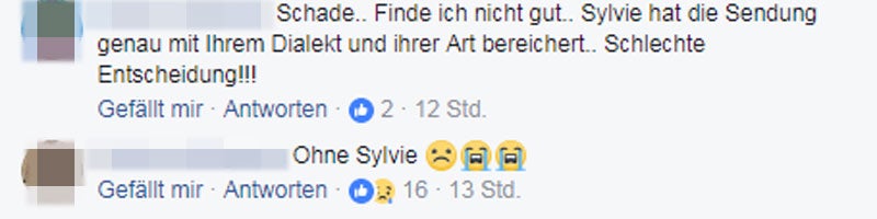 Sylvie Meis Kommentare